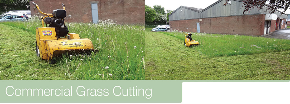 Commercial Grass Cutting